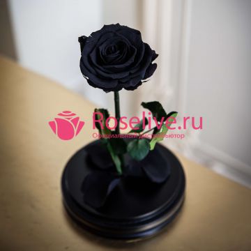 Роза в колбе "Black"